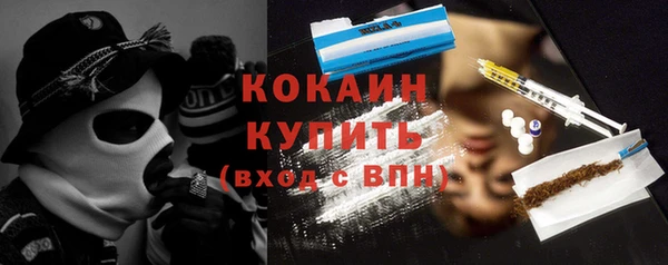 спайс Ладушкин