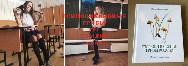 СК Лиски