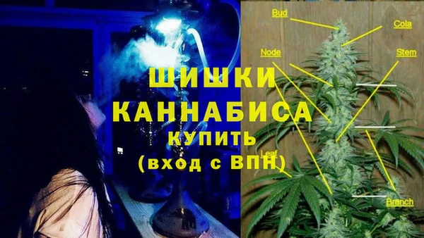 спайс Ладушкин